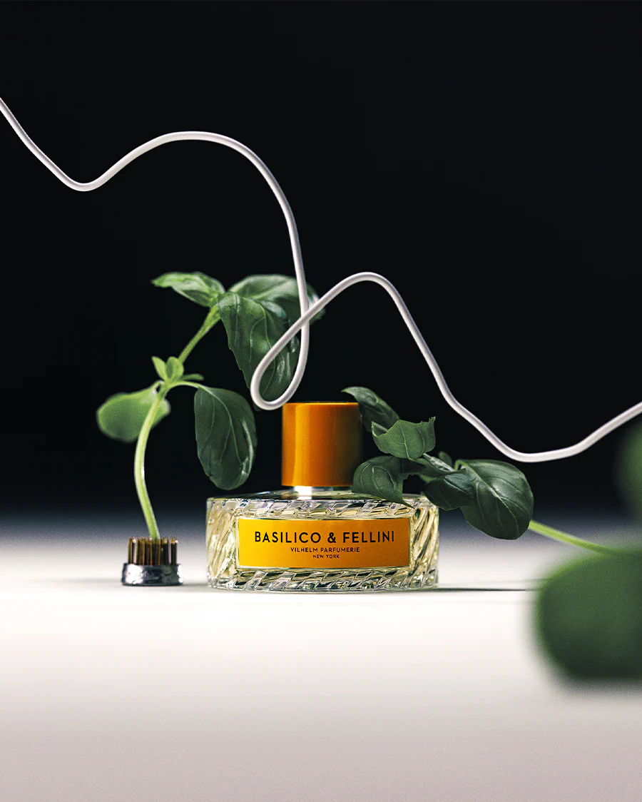 BASILICO & FELLINI - Image 3